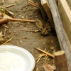 Excel Turf and Pest gallery
