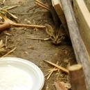 Excel Turf and Pest - Pest Control Equipment & Supplies