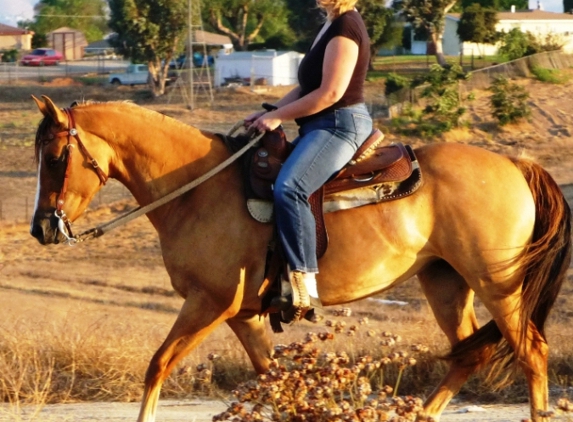 S&D Horseback Riding - Norco, CA