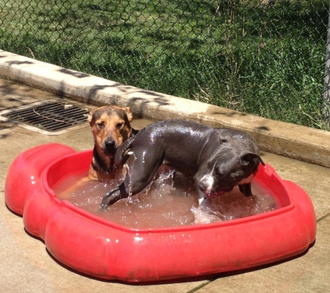 C-Bar-C Park Dog Park - Citrus Heights, CA