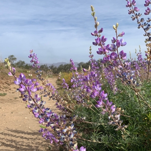 Charmlee Wilderness Park - Malibu, CA