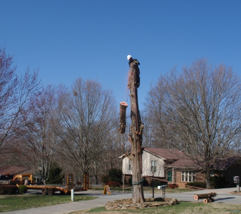 Superior Tree And Landscape - Morristown, TN