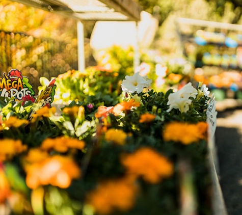 Eden at Byron - Byron Bay, NSW
