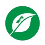 Photo #01