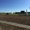 Indiana Downs gallery