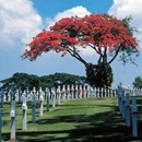 John T. Williams Funeral Home - Cemeteries