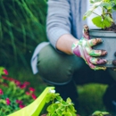 Floral Gardening, Inc - Greenhouses