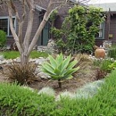 ACE Tree Service & Landscaping - Landscaping & Lawn Services