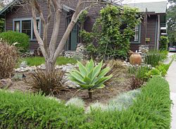 ACE Tree Service & Landscaping - Sylmar, CA