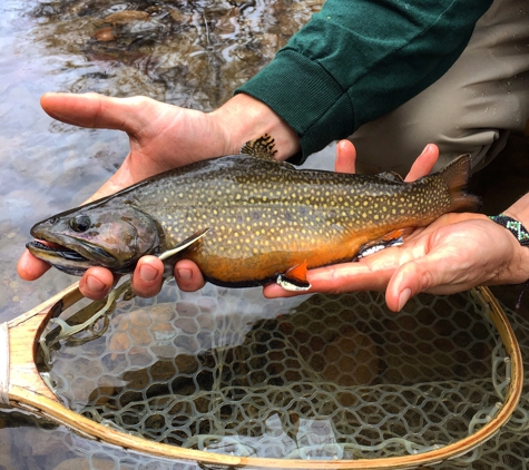 Knapp's Creek Trout Lodge - Marlinton, WV