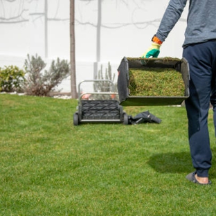 Rivers Edge Turf Pty Ltd - Wilberforce, NSW