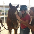 NDR Therapeutic Riding