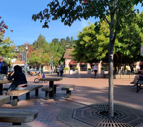 Depot Bookstore & Cafe - Mill Valley, CA