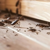 D & R Pest Control gallery