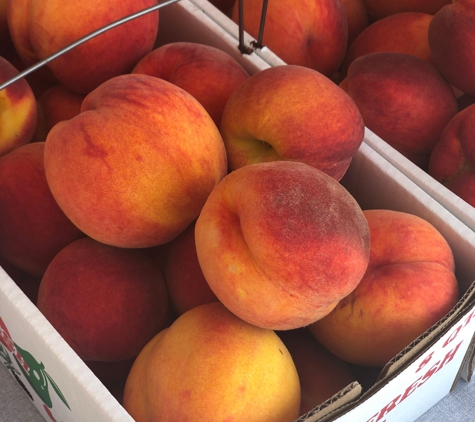 Orbaker's Farm Market - Williamson, NY