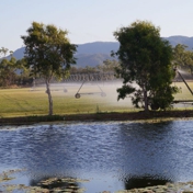 Gallery Image Number 7