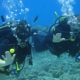 Scuba Club