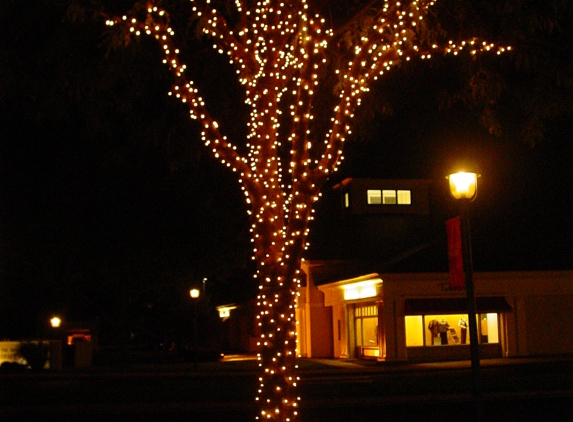 Christmas Decor By Picture Perfect Landscape - Hebron, CT