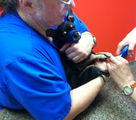 Meyerland Animal Clinic ,PA