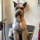 Buds. N' Suds Dog Grooming - Pet Grooming