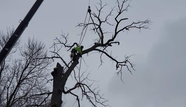 Hansen's Tree Service & Landscaping - Rossford, OH