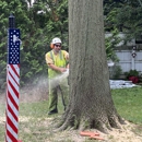 Cut Rite Services - Tree Service