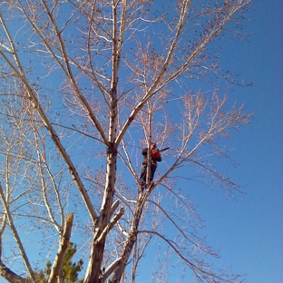 Russell's Artistry in Trees - Reno, NV