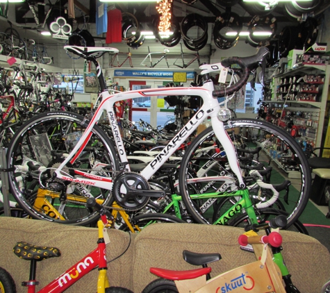 Wally's Bicycle Works - San Luis Obispo, CA. Custom carbon Road Bikes