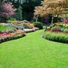 Ray's Lawn Tree & Landscaping Services gallery