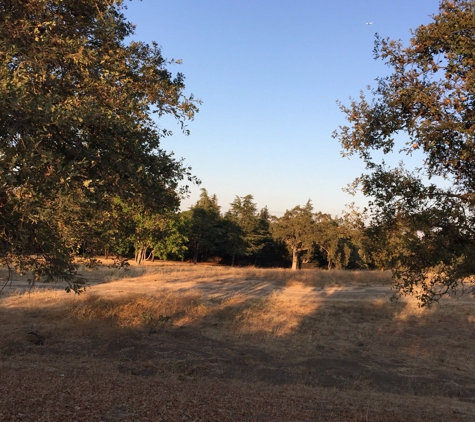 Cornelis Bol Park - Palo Alto, CA