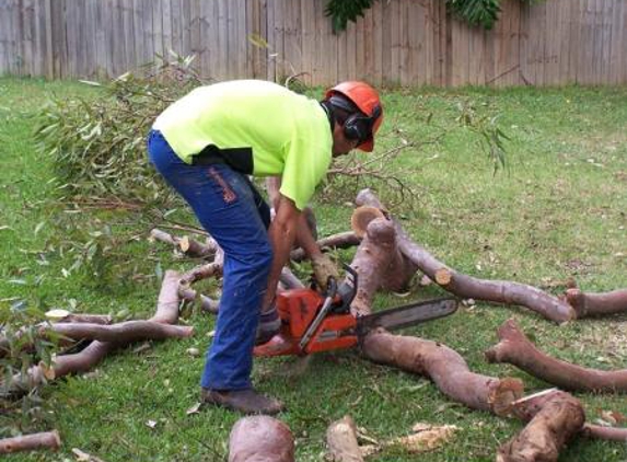 All Coast Tree Services - West Wollongong, NSW