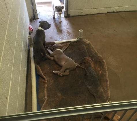 Arizona Humane Society - Phoenix, AZ