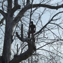 JNG Working Climber and Tree Services LLC - Arborists