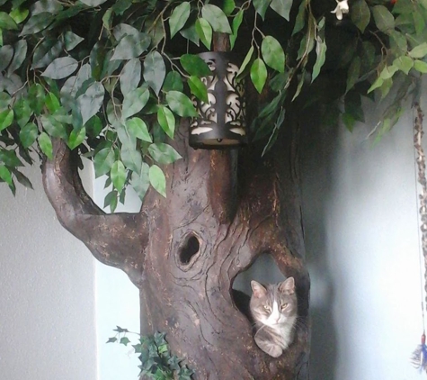 A Fantasy Forest. Luxury Cat Trees