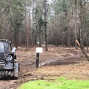 WS Management Services - Tree Service