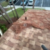 Sleek Window Cleaning gallery