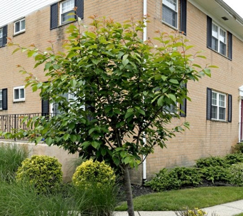 Sterling Glen Apartments - Lumberton, NJ