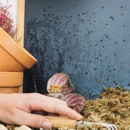 Bell Pest Services - Pest Control Equipment & Supplies