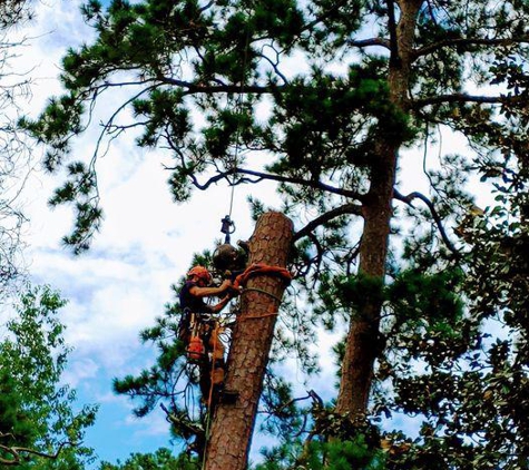 Big Bend Tree Service - Tallahassee, FL