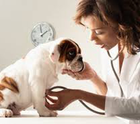 Parkway Animal Hospital - Gulf Breeze, FL