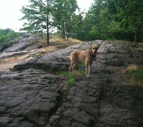 Garret Mountain Reservation - Woodland Park, NJ