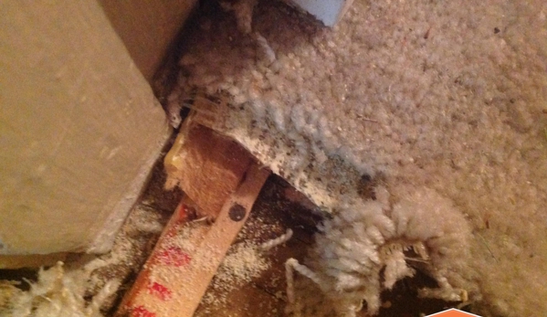 SERVPRO of Mount Clemens / New Baltimore - Chesterfield, MI. Carpet Delamination