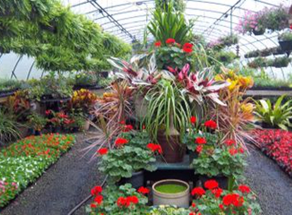 Cline Greenhouse & Landscaping - Thomasville, NC