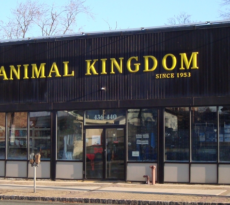 Animal Kingdom - East Orange, NJ