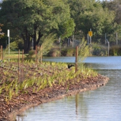 Gallery Image Number 6