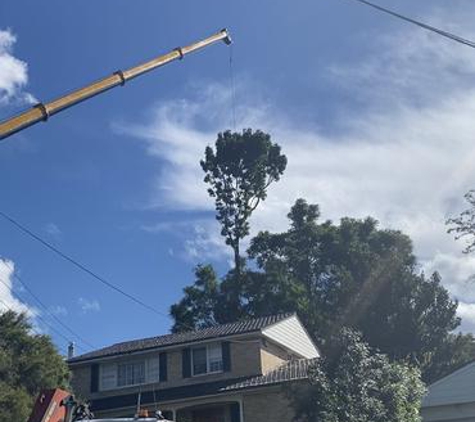Elevated Arbor Care - Cranebrook, NSW