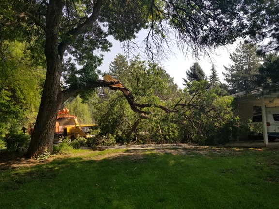 Grizzly's Tree Service & Landscaping - Salt Lake City, UT