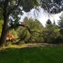 Grizzly's Tree Service & Landscaping - Salt Lake City, UT