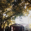 Common Grounds gallery