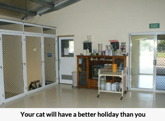 Simply Catz - Jensen, QLD. Your cat will have a better holiday than you.